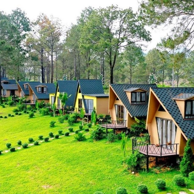 Rừng thông bản Áng mang đến chương trình team building âm hưởng núi rừng