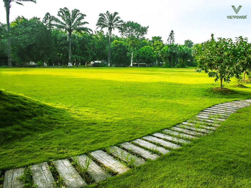 Công viên Mùa Hạ sở hữu diện tích lên tới 2,5 ha với bãi cỏ xanh mướt