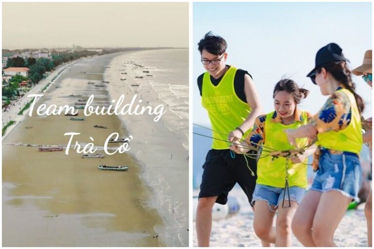 Kinh nghiệm tổ chức team building Trà Cổ chi tiết A – Z