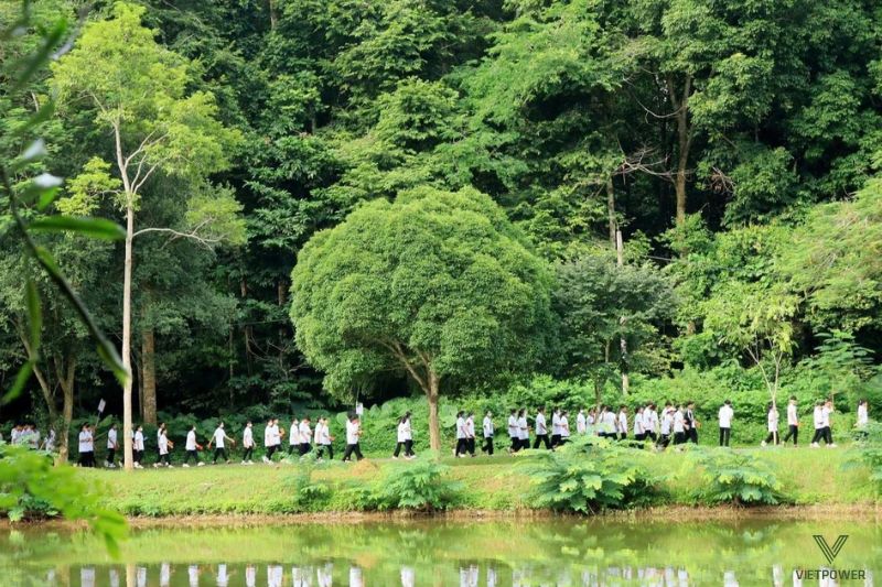 Vườn quốc gia Cúc Phương phù hợp thử thách team building gắn kết đồng đội