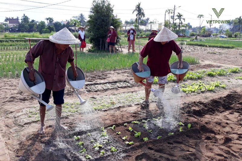 Trở thành "nông dân thực thụ"! Cùng nhau cuốc đất, gieo mầm và thu hoạch