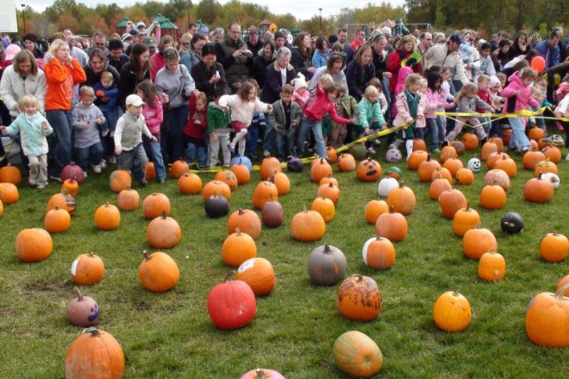 Cuộc đua bí ngô đầy kịch tính