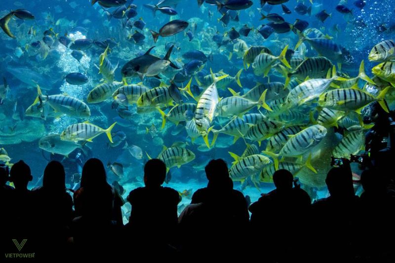 Suối Tiên là địa điểm du lịch team building lý tưởng với không gian rộng lớn, nhiều trò chơi hấp dẫn và cảnh quan độc đáo.