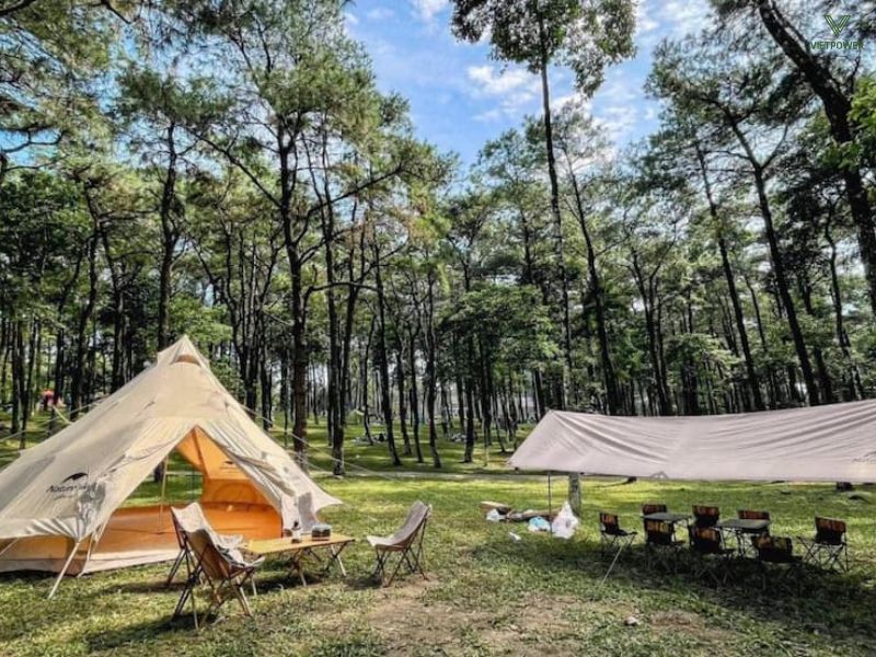 Thiên Phú Lâm cho phép triển khai team building 2 ngày 1 đêm với chi phí hợp lý và tính linh hoạt cao