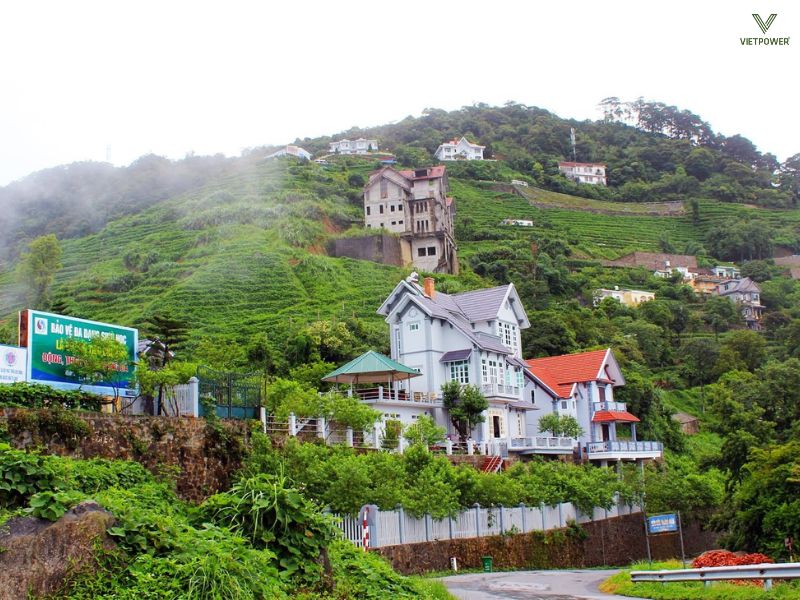 Tam Đảo phù hợp với các chương trình team building thiên về trải nghiệm và gắn kết cảm xúc