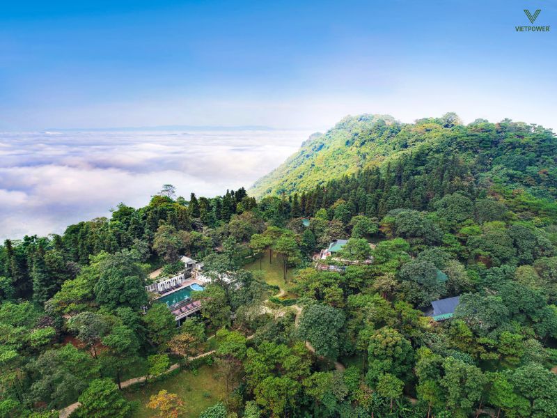 Vườn Quốc gia Ba Vì có Không gian rừng núi rộng, nhiều bãi cỏ và khu sinh thái