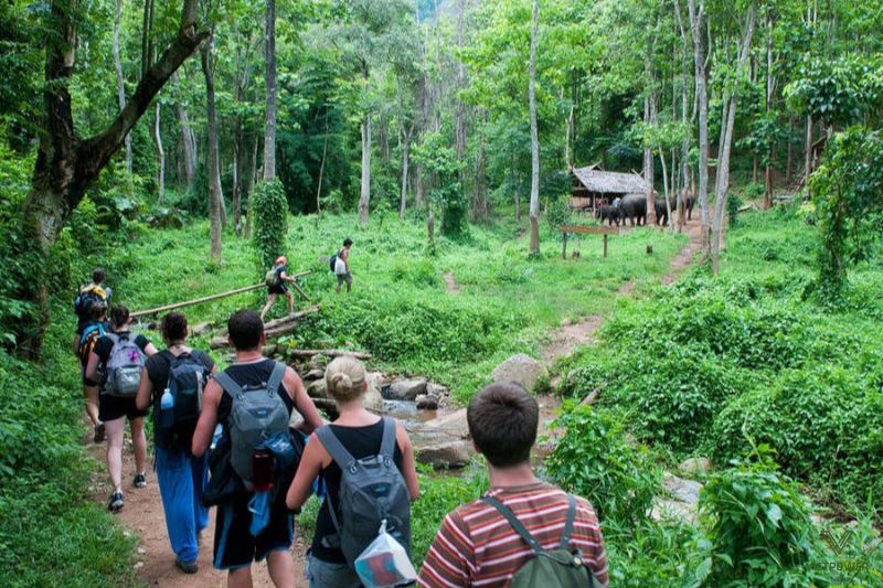 Rừng Dương Bình Châu: hoang sơ, rộng rãi, lý tưởng cho team building khám phá
