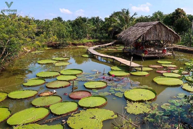 Lựa chọn địa điểm phù hợp vô cùng cần thiết khi tổ chức team building Cần Thơ