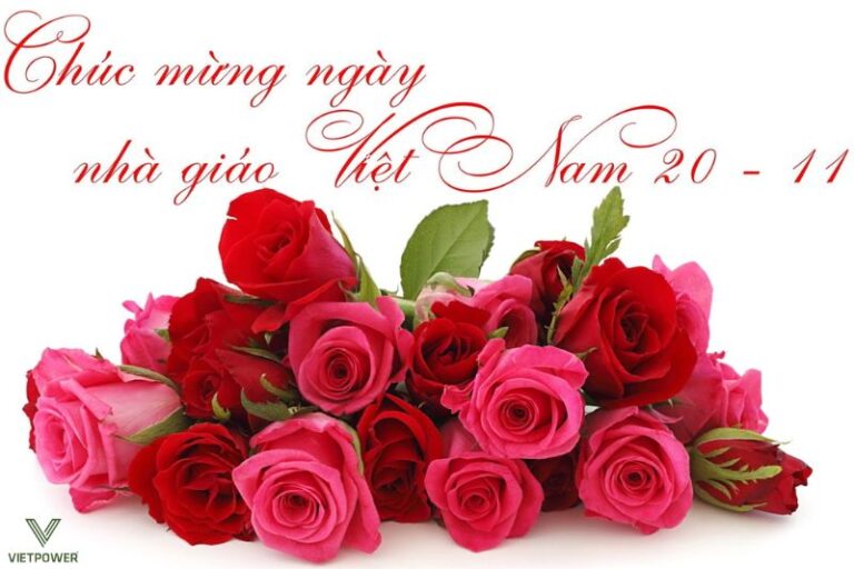 50+ lời chúc 20/11 ngắn gọn ý nghĩa dành cho thầy cô giáo