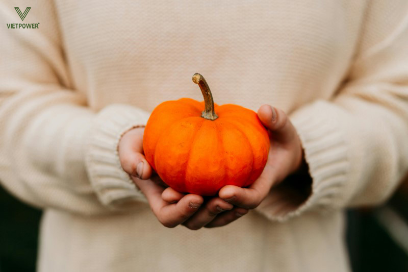 Trò chơi: Bí ngô ma thuật Trò chơi: Bí ngô ma thuật