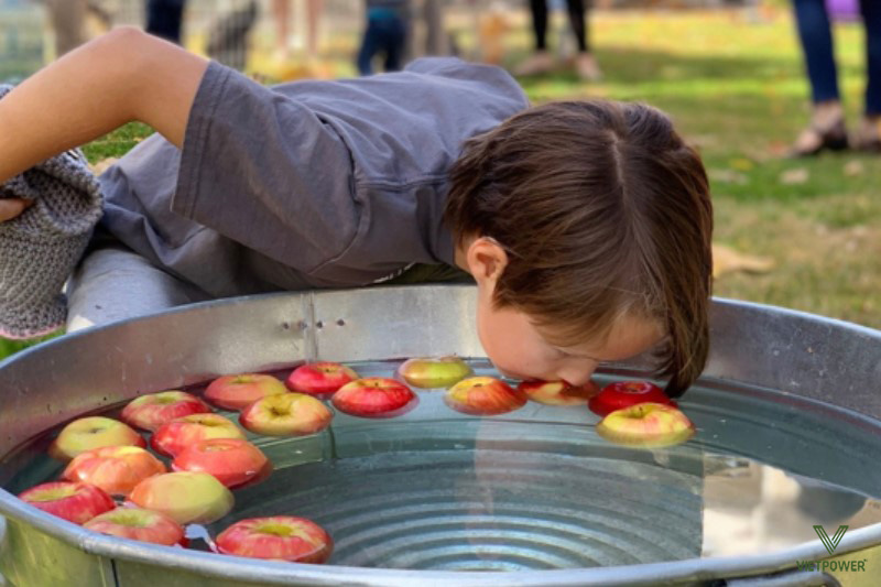 Trò chơi: Thách thức ngậm táo trong chậu nước