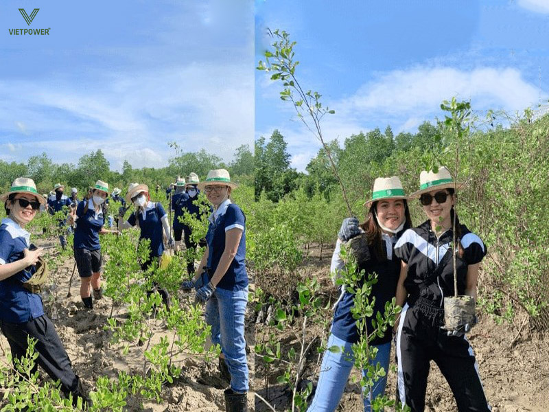 Hoạt động Trồng cây xanh cho cộng đồng Hoạt động Trồng cây xanh cho cộng đồng