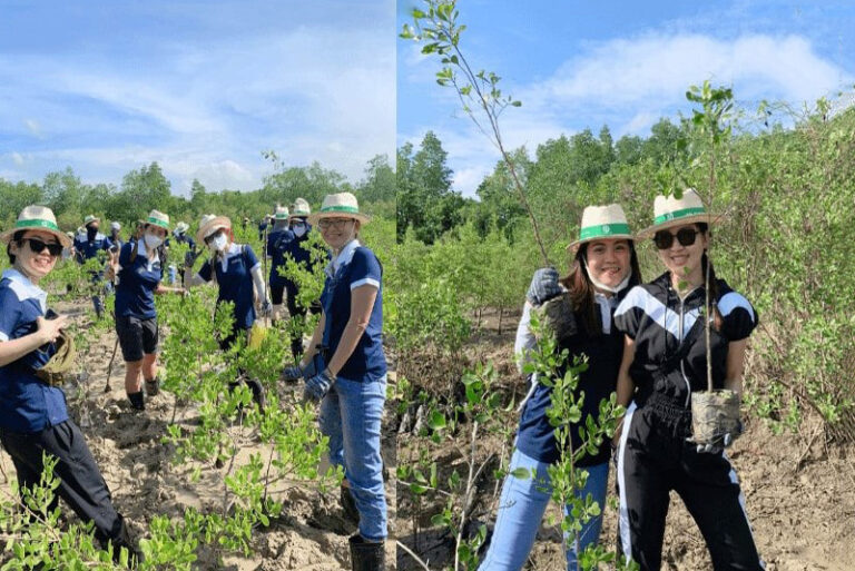 CSR Team Building là gì? 10 hoạt động CSR gắn kết cho doanh nghiệp