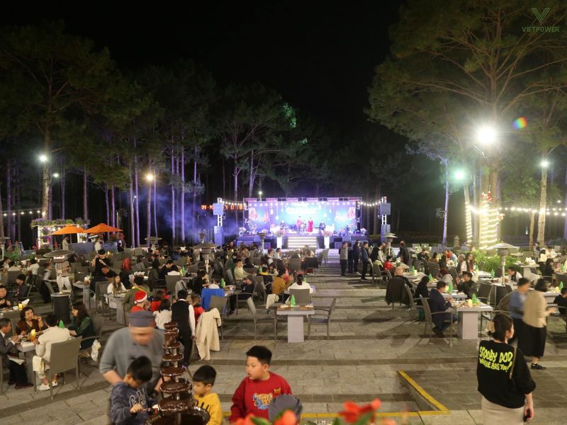 Terracotta đặt trên khu đồi thông xanh