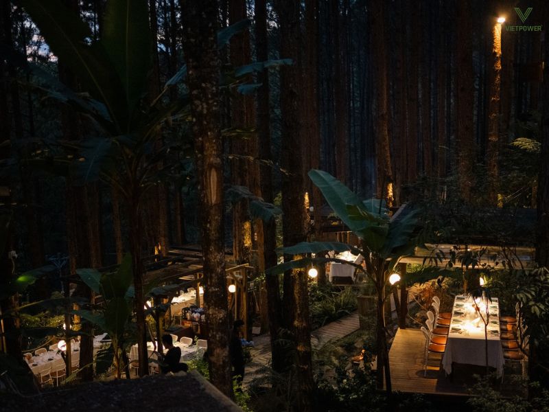 Không gian gala dinner lãng mạn của Rừng Thông Mơ Farm & Bistro