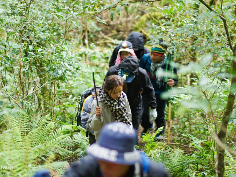 Trước khi tổ chức, cần xác định rõ ràng mục tiêu chương trình và đặc điểm của người tham gia Trước khi tổ chức, cần xác định rõ ràng mục tiêu chương trình và đặc điểm của người tham gia
