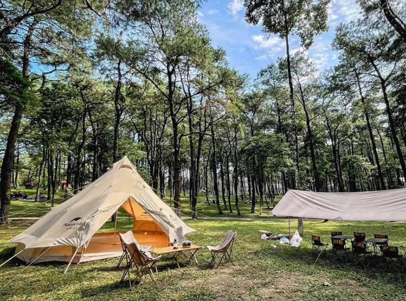 Vườn quốc gia Ba Vì rất phù hợp cho các hoạt động team building adventure ngoài trời Vườn quốc gia Ba Vì rất phù hợp cho các hoạt động team building adventure ngoài trời