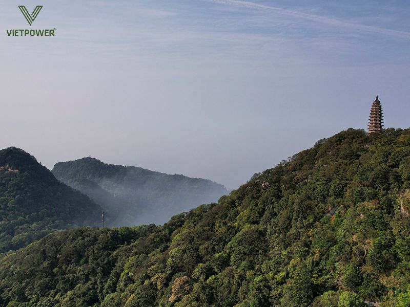 Khu vực Ba Vì nổi tiếng với rừng thông, núi non xanh mát và nhiều điểm cắm trại, rất phù hợp cho trekking