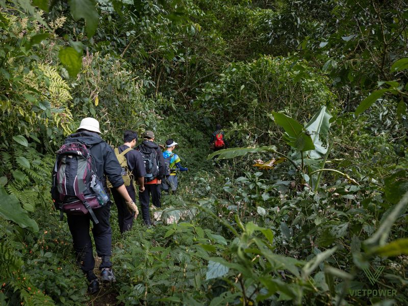 Vượt chướng ngại vật tự nhiên là thử thách giúp các thành viên rèn luyện sức bền