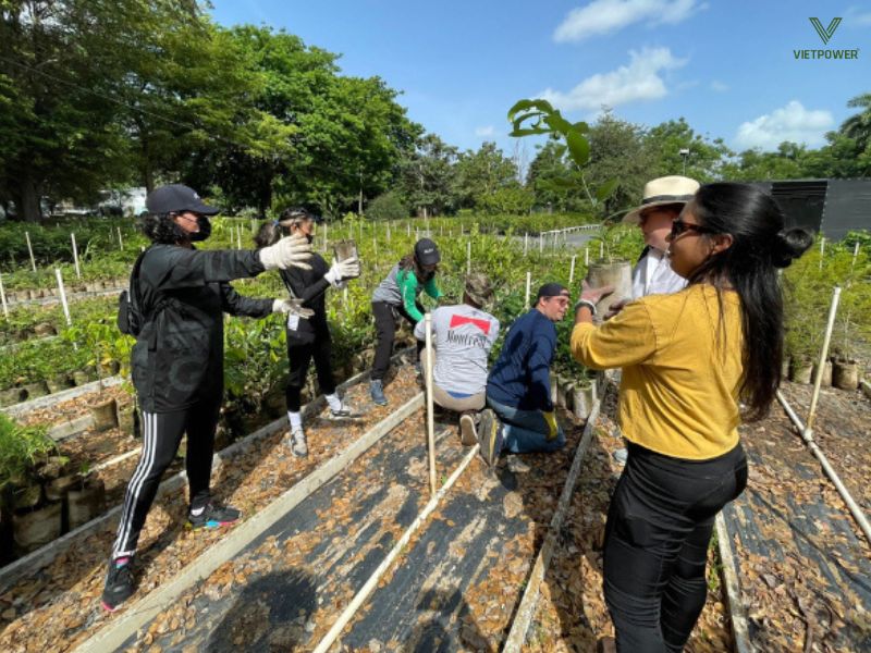 Hoạt động team building trải nghiệm sinh thái tại vườn