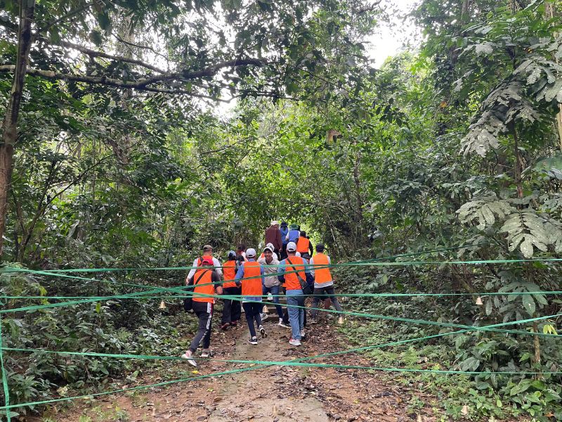 Trekking đi bộ xuyên rừng