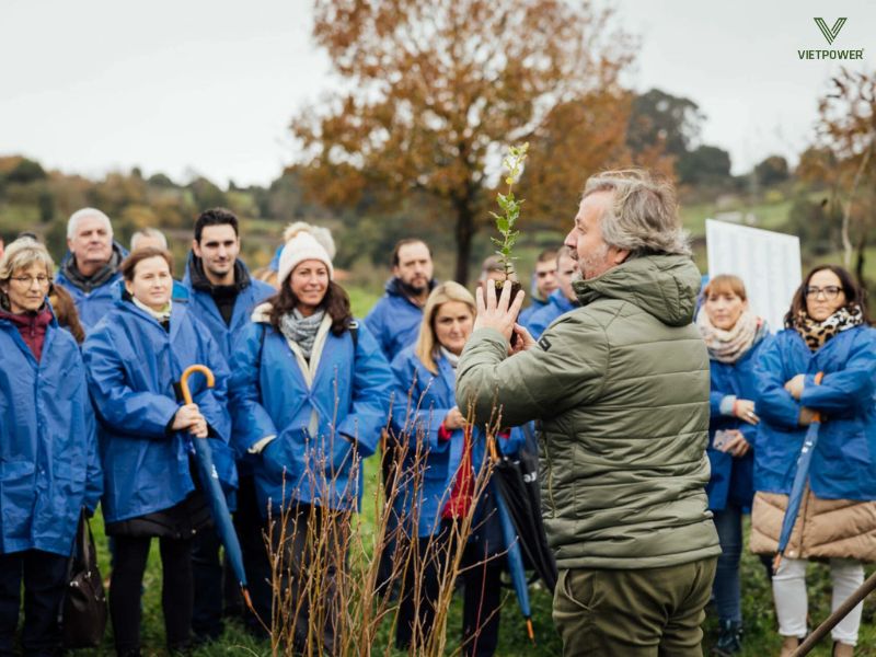 Team building trồng cây gây rừng