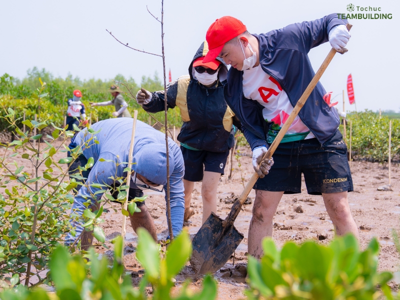 Các chương trình trồng cây, dọn rác, bảo vệ bờ biển hoặc làm vườn cộng đồng vừa nâng cao tinh thần đồng đội