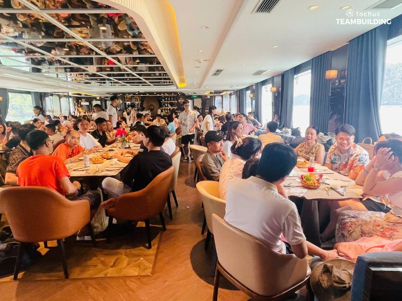 Tổ chức team building Bãi Cháy