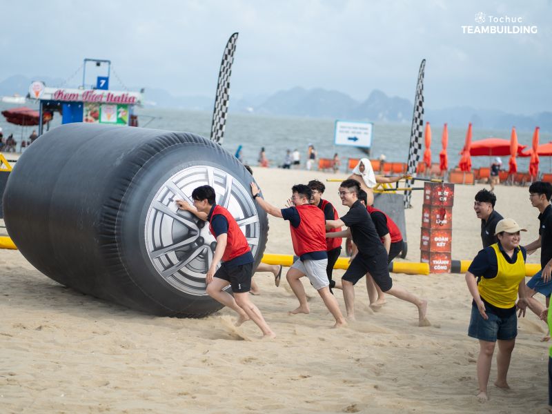 Tổ chức team building Bãi Cháy