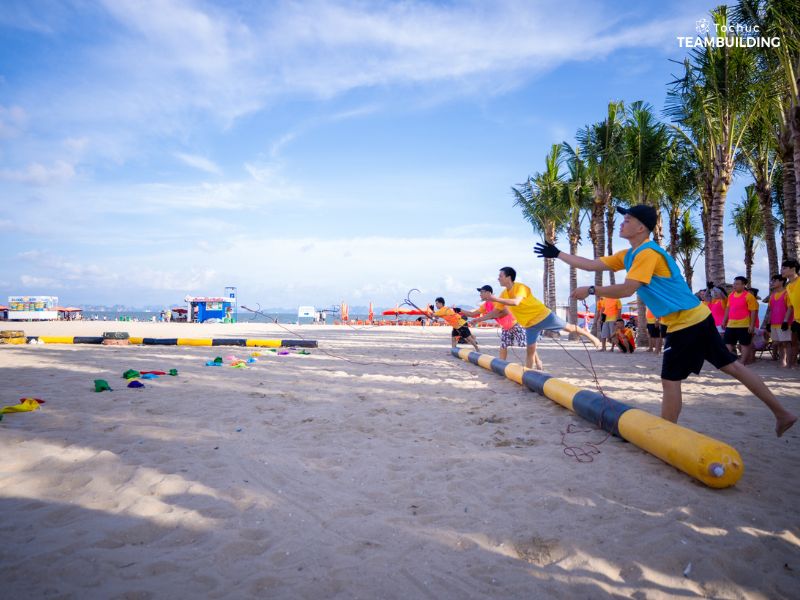 Săn vàng nơi hoang dã là trò chơi thú vị và rất phù hợp với không gian bãi biển thoáng đãng