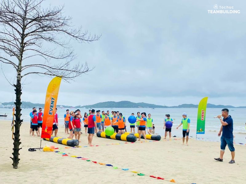 Tổ chức team building Cô Tô