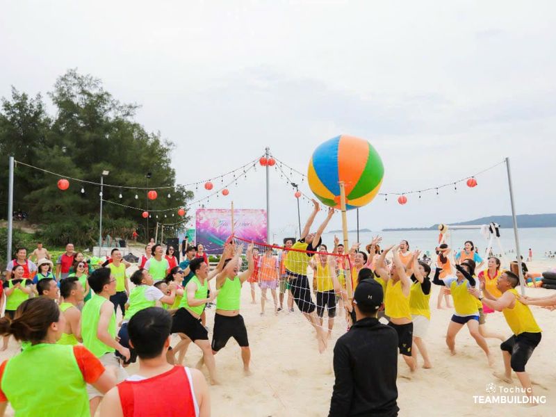 Tổ chức team building Cô Tô