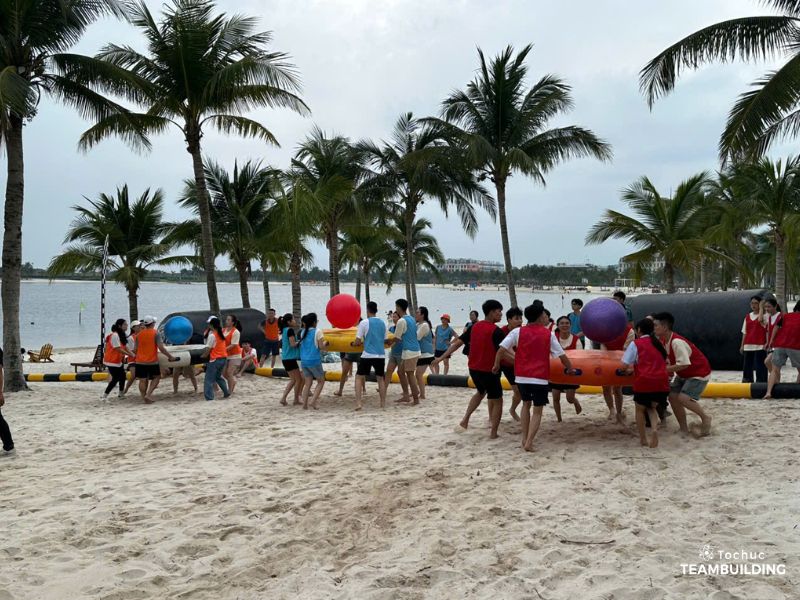 Tổ chức team building Đồi Rồng